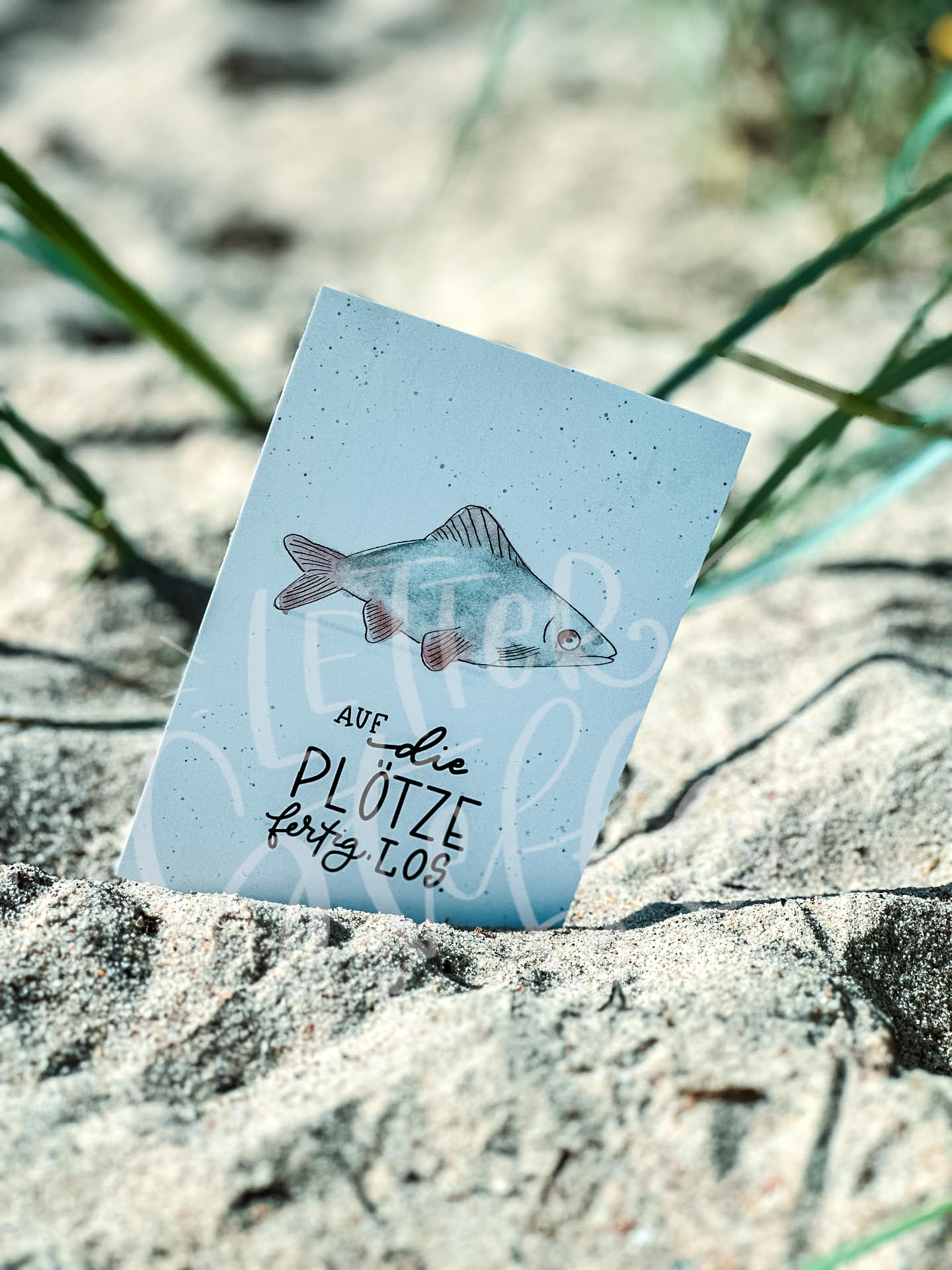 Auf die Plötze ... fertig, los.