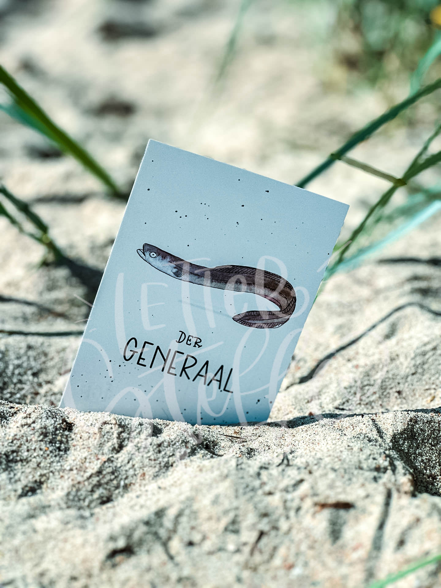 Der Generaal