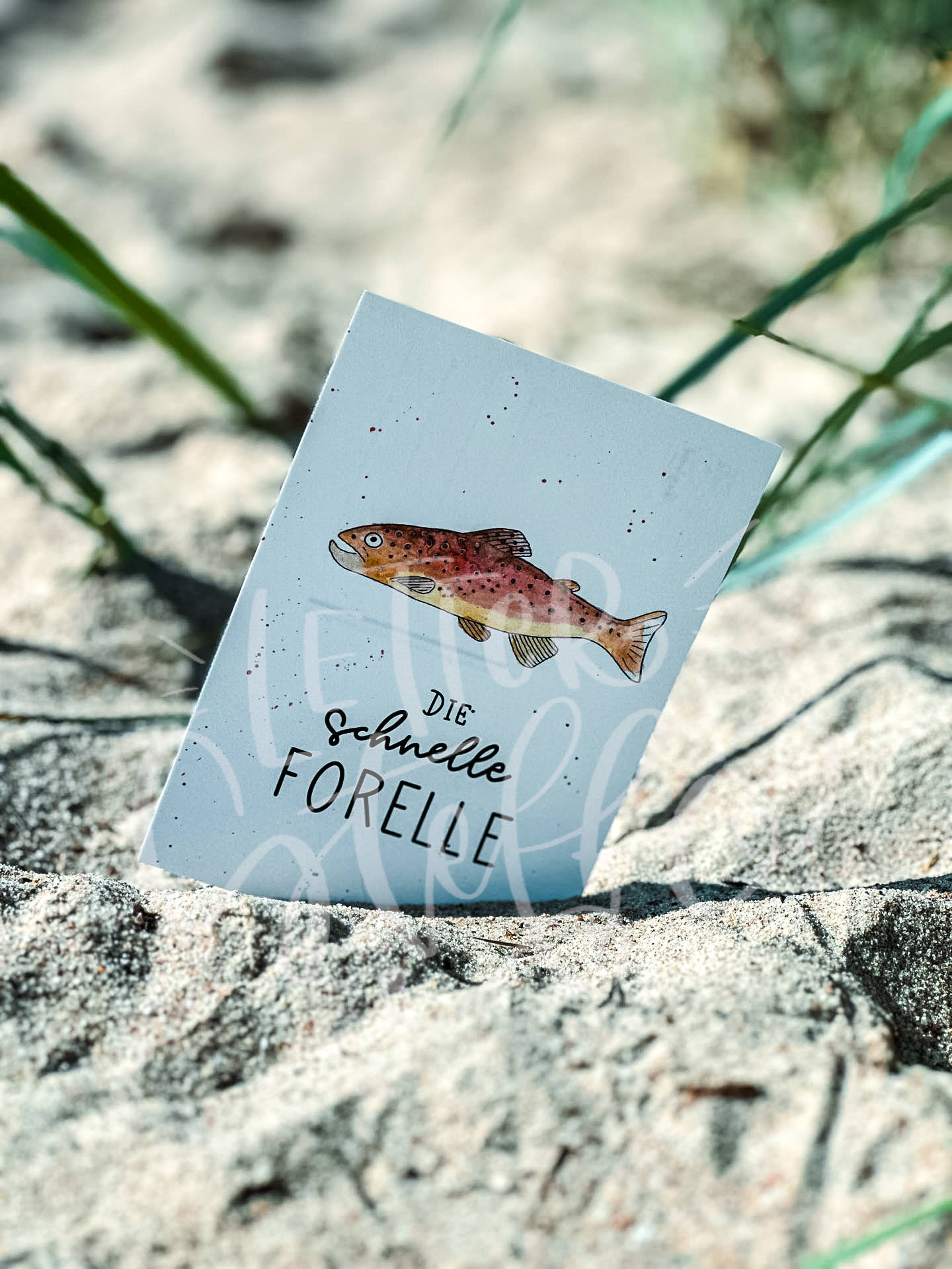 Die schnelle Forelle