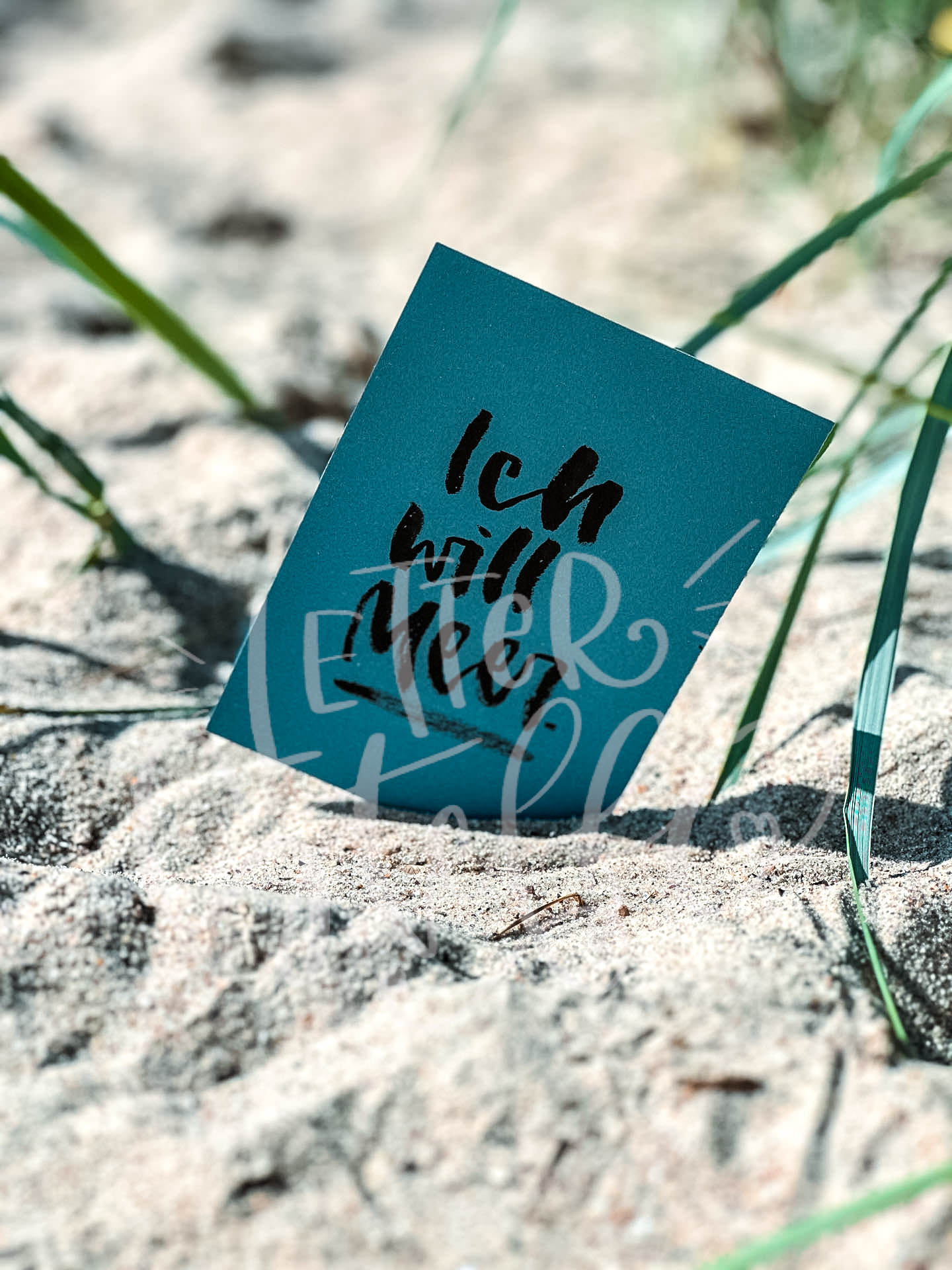 Ich will Meer